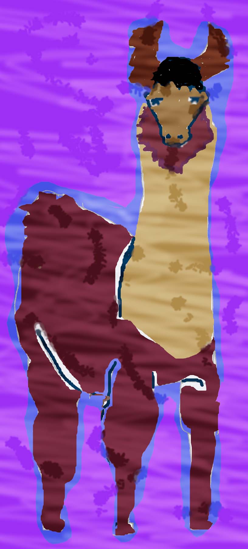 llama.jpg